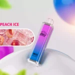2025 Bestseller ANU Crystal 10000 Züge Einweg E-Zigarette mit Mesh Coil 0.8 Ohm und 650 mAh Akku — Pfirsich Eis Flavours 1