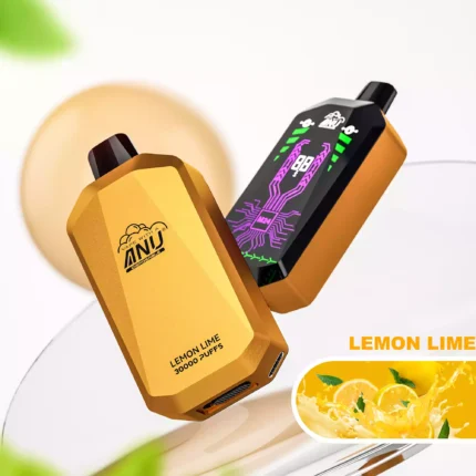 2025 Bestseller ANU Star 30000 Züge Einweg E-Zigarette Lieferung in 5 bis 7 Tagen mit Mesh Coil 1.0 Ohm — Zitrone Limette Flavours 2