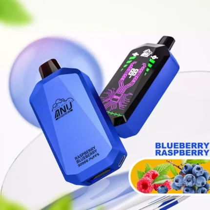 2025 Bestseller ANU Star 30000 Züge Einweg E-Zigarette – Der günstigste Preis Lieferung in 5 bis 7 Tagen mit 22 ml E-Liquid – Blaubeere Himbeere Flavours 2