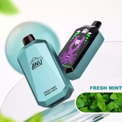 2025 Neue Produkte ANU Star 30000 Züge Einweg E-Zigarette Einzelverkauf Lieferung in 5 bis 7 Tagen mit Nikotin 0 % 2 % 3 % 5 % und Mesh Coil 1.0 Ohm — Frische Minze Flavours 1