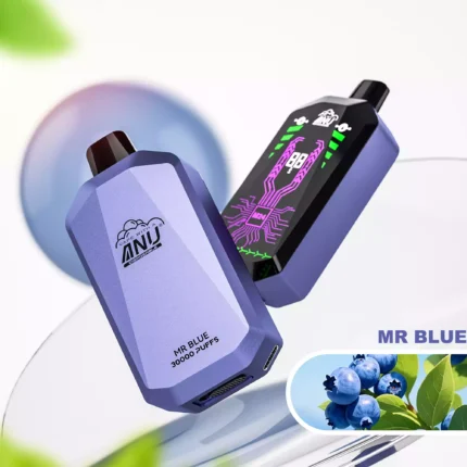 2025 Neue Produkte ANU Star 30000 Züge Einweg E-Zigarette Lieferung in 5 bis 7 Tagen und Bestseller mit Typ-C Wiederaufladbar und 22 ml E-Liquid — Mr. Blau Flavours 2