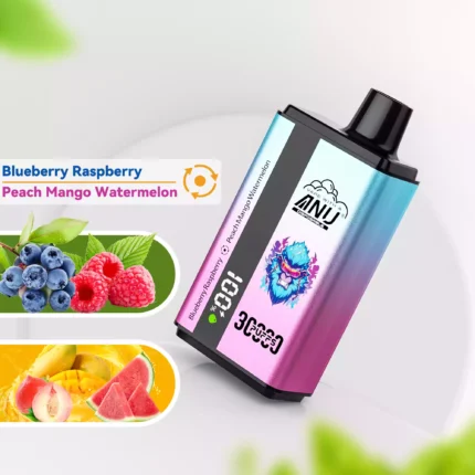 ANU 30000 Züge Doppelter Geschmack Einweg E-Zigarette wiederaufladbar 0 % 2 % 3 % 5 % Nikotingehalt Lieferung in 5 bis 7 Tagen Bestseller 2025 — Blaubeere Himbeere & Pfirsich Mango Wassermelone Flavour