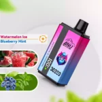 ANU 30000 Züge Doppelter Geschmack Einweg E-Zigarette wiederaufladbar 0 % 2 % 5 % Nikotingehalt Lieferung in 5 bis 7 Tagen Bestseller 2025 —Wassermelone Eis & Blaubeere Minze Flavours 2