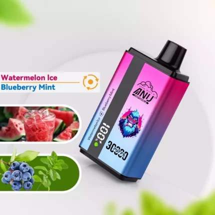 ANU 30000 Züge Doppelter Geschmack Einweg E-Zigarette wiederaufladbar 0 % 2 % 5 % Nikotingehalt Lieferung in 5 bis 7 Tagen Bestseller 2025 —Wassermelone Eis & Blaubeere Minze Flavours 2