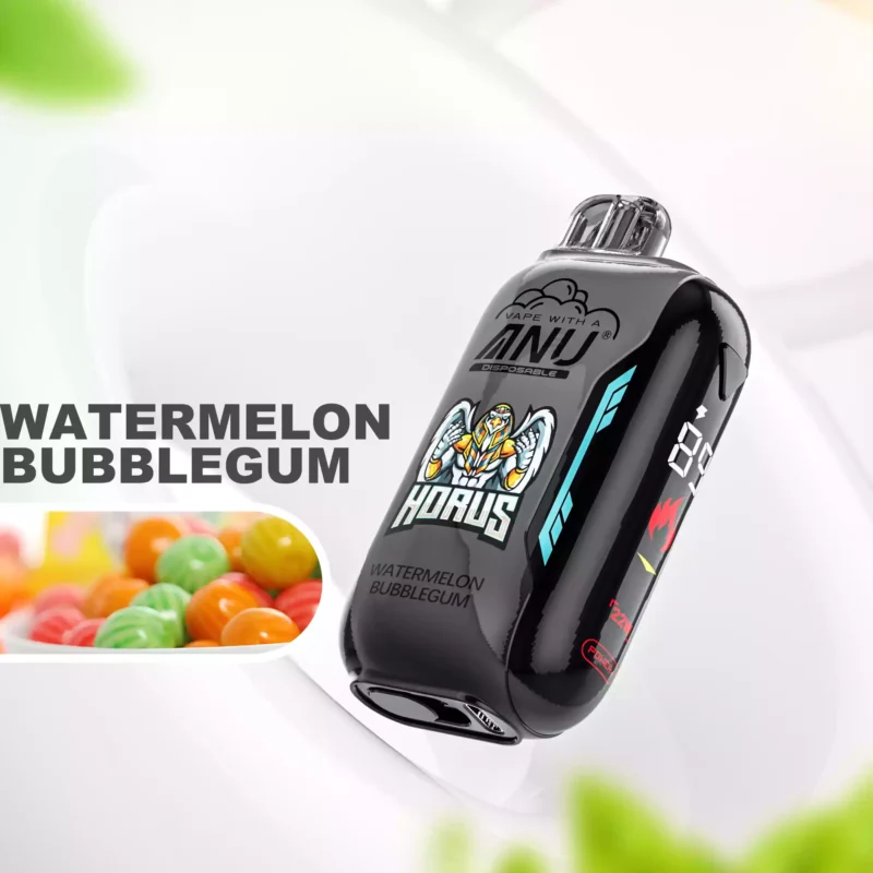 ANU Vista 30000 Züge Einweg E-Zigarette Der günstigste Preis Wiederaufladbar Typ-C mit 22 ml E-Liquid und 650 mAh Akku — Wassermelone Kaugummi Flavours 2