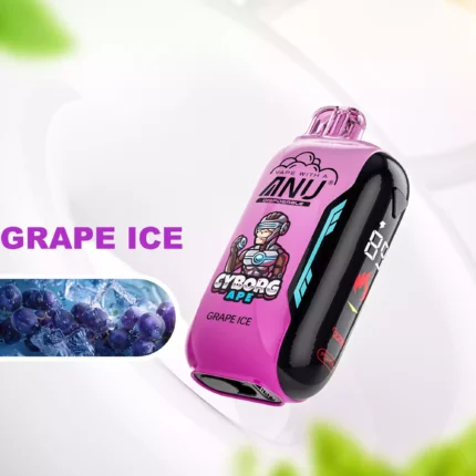 ANU Vista 30000 Züge Einweg E-Zigarette Der günstigste Preis und Typ-C Wiederaufladung mit Nikotin 0 % 2 % 3 % 5 % und 22 ml E-Liquid— Traube Eis Flavours 2