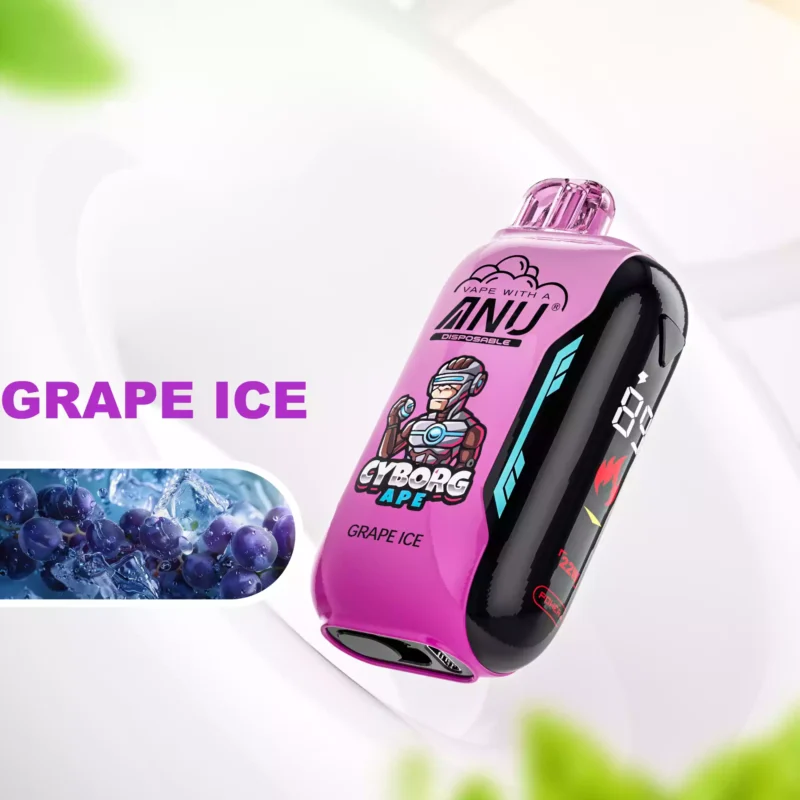 ANU Vista 30000 Züge Einweg E-Zigarette Der günstigste Preis und Typ-C Wiederaufladung mit Nikotin 0 % 2 % 3 % 5 % und 22 ml E-Liquid— Traube Eis Flavours 2