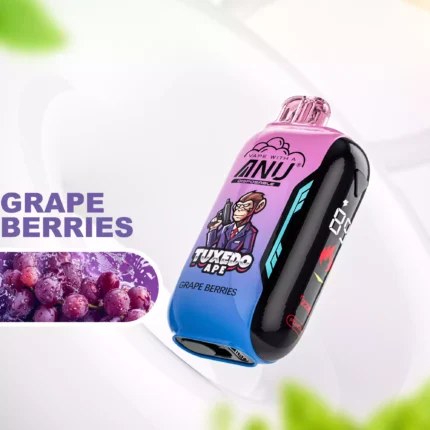 ANU Vista 30000 Züge Einweg E-Zigarette Direktverkauf ab Werk Schnelle Lieferung mit 22 ml E-Liquid und 650 mAh Akku — Trauben Beeren Flavours 2