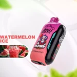 ANU Vista 30000 Züge Einweg E-Zigarette Direktverkauf ab Werk Schnelle Lieferung mit 22 ml E-Liquid und 650 mAh Akku — Wassermelone Eis Flavours 1