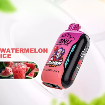 ANU Vista 30000 Züge Einweg E-Zigarette Direktverkauf ab Werk Schnelle Lieferung mit 22 ml E-Liquid und 650 mAh Akku — Wassermelone Eis Flavours 1