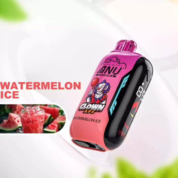 ANU Vista 30000 Züge Einweg E-Zigarette Direktverkauf ab Werk Schnelle Lieferung mit 22 ml E-Liquid und 650 mAh Akku — Wassermelone Eis Flavours 1