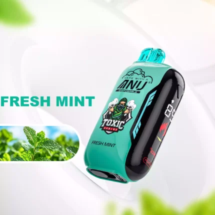 ANU Vista 30000 Züge Einweg E-Zigarette Lieferung in 5 bis 7 Tagen Wiederaufladbar Typ-C mit 650 mAh Akku — Frische Minze Flavours 1