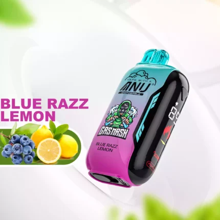 ANU Vista 30000 Züge Einweg E-Zigarette Wiederaufladbar Typ-C Direktverkauf ab Werk mit 650 mAh Akku und 22 ml E-Liquid — Blau Razz Zitrone Flavours 2