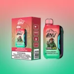 ANU Vista 30000 Züge Einweg E-Zigarette – Der günstigste Preis, Typ-C Wiederaufladbar mit 22 ml E-Liquid – Erdbeere Wassermelone Eis Flavours 1