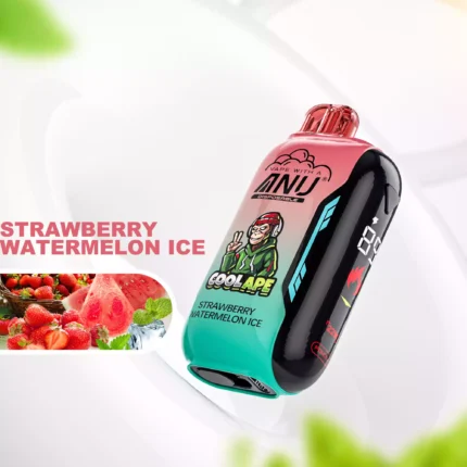 ANU Vista 30000 Züge Einweg E-Zigarette – Der günstigste Preis, Typ-C Wiederaufladbar mit 22 ml E-Liquid – Erdbeere Wassermelone Eis Flavours 2