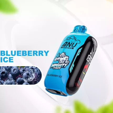 ANU Vista 30000 Züge Einweg E-Zigarette – Der günstigste Preis und schnelle Lieferung mit Nikotin 0 %, 2 %, 3 %, 5 % und Mesh Coil 1.0 Ohm — Blaubeere Eis Flavours 2