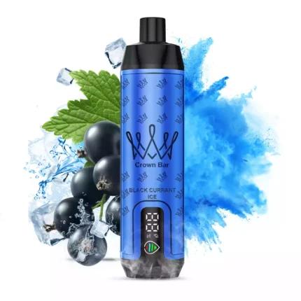 Einzelverkauf AL FAKHAR 15000 Züge F18S Einweg E-Zigarette mit 22 ml E-Liquid und Typ-C Anschluss – Schwarze Johannisbeere Eis Geschmack