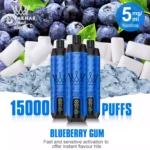 Einzelverkauf möglich AL FAKHAR 15000 Züge F18S Einweg E-Zigarette mit 600 mAh Akku und 5 mgml Nikotin – Blaubeere Kaugummi Geschmack (5)