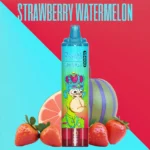 Günstigste RandM Tornado 15000 Züge Einweg E-Zigarette mit 0 % 2 % 3 % 5% Nikotinsalz und 850 mAh Akku — Erdbeere Wassermelone (1)