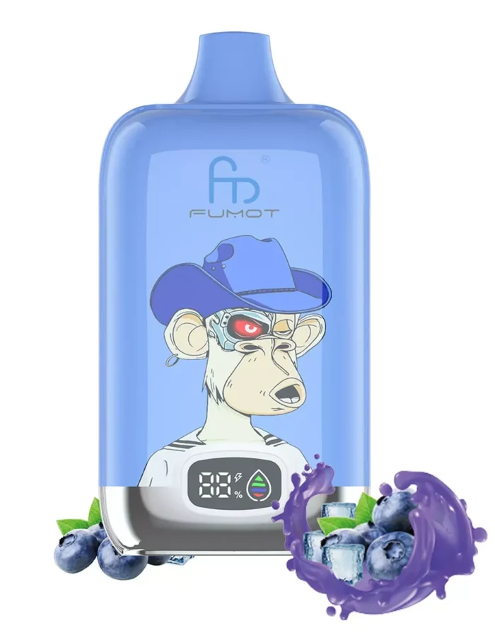 RandM Digital Box 12000 Züge Einweg E-Zigarette Direktverkauf ab Werk mit 0 % 2 % 3 % 5% Nikotin — Blaubeere auf Eis Flavours (2)