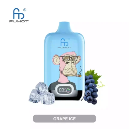 RandM Digital Box 12000 Züge Einweg E-Zigarette Neuheit 2025 mit Mesh Coil 0.8Ω und 550 mAh Akku — Traube Eis Flavours