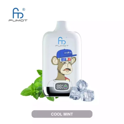 RandM Digital Box 12000 Züge Einweg E-Zigarette Schnelle Lieferung mit 0 % 2 % 3 % 5% Nikotin und Mesh Coil 0.8 Ohm — Kühle Minze Flavours
