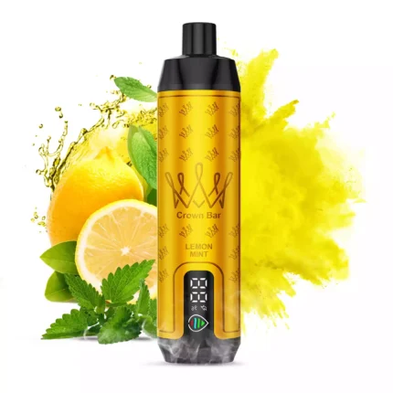 Schnelle Lieferung AL FAKHAR 15000 Züge F18S Einweg E-Zigarette mit Typ-C Anschluss und 22 ml E-Liquid – Zitrone Minze Geschmack