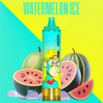Schnelle Lieferung RandM Tornado 15000 Züge Einweg E-Zigarette mit 0 % 2 % 3 % 5% Nikotinsalz und 850 mAh Akku — Wassermelone Eis (1)
